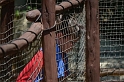 Kids_DZooWGMum (10)